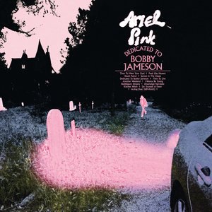 Ariel Pink 4