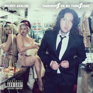 Mickey Avalon 14