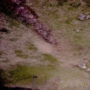 The Tub Sprung a Leak so I Got a Vase, The Vase Broke so I Got a Glass, The Glass Shattered so I'm Pouring What's Left into a Paper Cup Similar to the Ones You'd Find in Waiting Rooms...lol, Waiting Rooms.