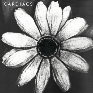 Cardiacs 3