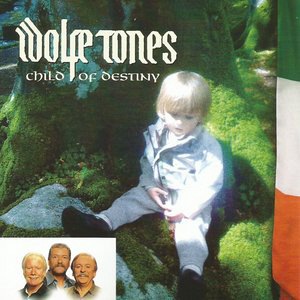 The Wolfe Tones 29