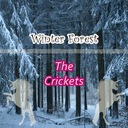 When You Ask About Love