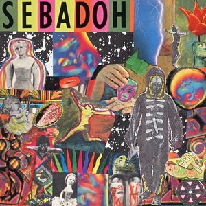 Sebadoh 12