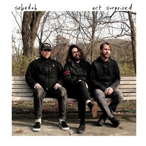 Sebadoh 11