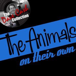 The Animals 13