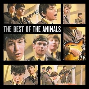 The Animals 7