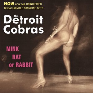 The Detroit Cobras 3
