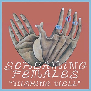 Screaming Females 5