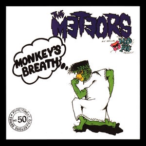 The Meteors 20