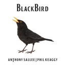 Blackbird