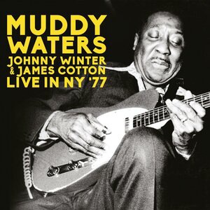 Muddy Waters 17