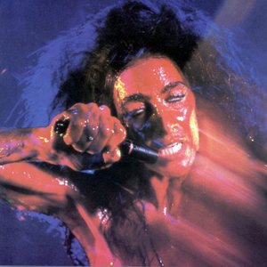 This Is The Law Of The Plague