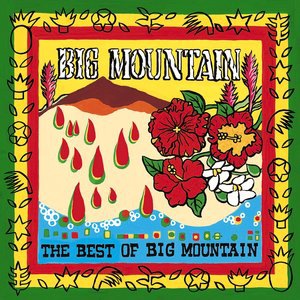 Big Mountain 8