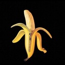 The Dandy Warhols Love Almost Everyone