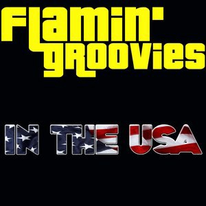 Flamin' Groovies 11