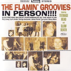 Flamin' Groovies 9