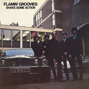 Flamin' Groovies 1