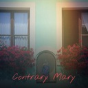 You Don't Have To Say You Love Me