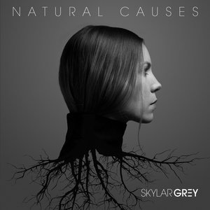 Skylar Grey 15