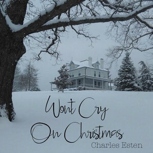 Won't Cry on Christmas