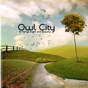 Owl City 3