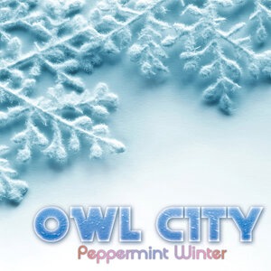 Owl City 2