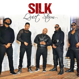 Silk 8