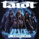 Before the Skies Come Down