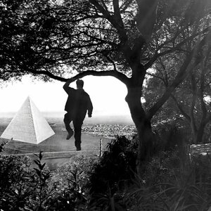 Francis and the Lights 11