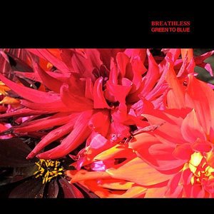 05 The Last Light of Day