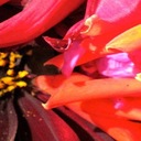 02 I Want You To Realise