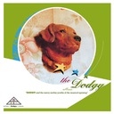 We're Not Going To Take This Anymore