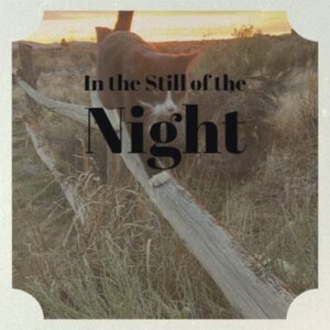 You Came a Long Way from St. Louis