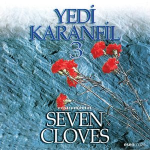 Yedi Karanfil (Seven Cloves) 1