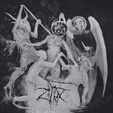 Insects as Messengers