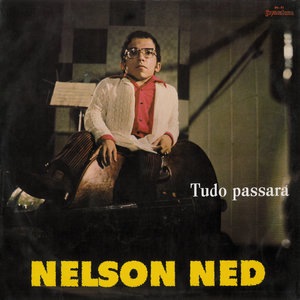 Nelson Ned 6