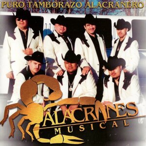 Alacranes Musical 4