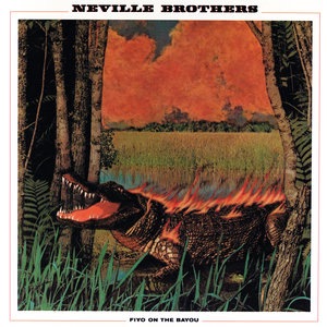 The Neville Brothers 1