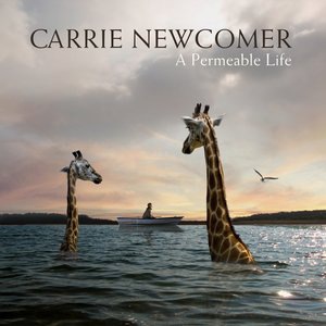 Carrie Newcomer 3