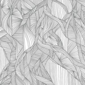 The Great Albatross 2