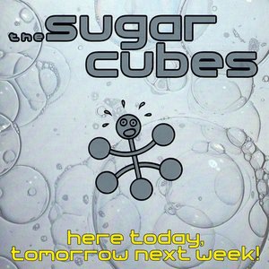 The Sugarcubes 9