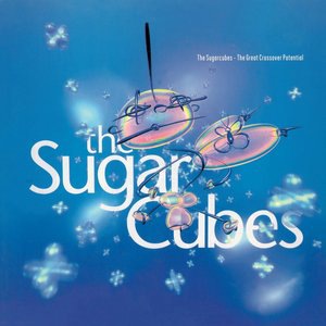 The Sugarcubes 6