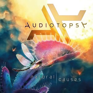 Audiotopsy 2