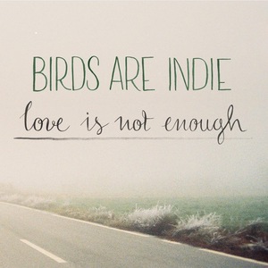 Birds Are Indie 3