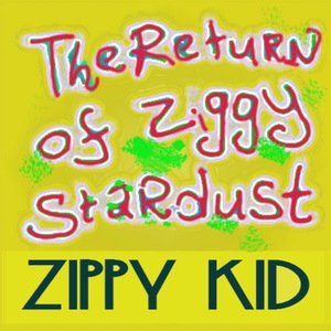 Zippy Kid 37