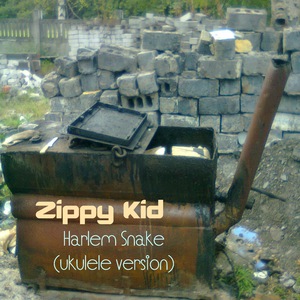 Zippy Kid 12