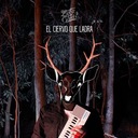 Dinosaurios y Astronautas