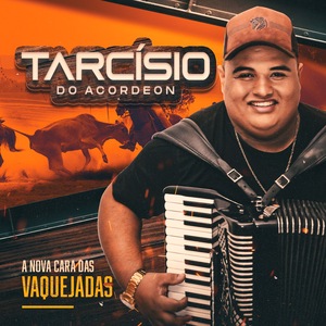 Tarcisio do Acordeon 2