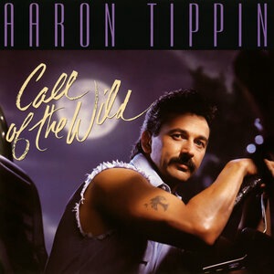 Aaron Tippin 8
