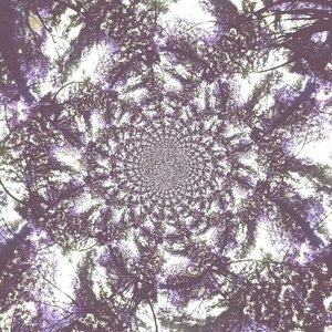 Woman With the Shovel